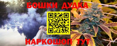 прущие крисы Гатчина