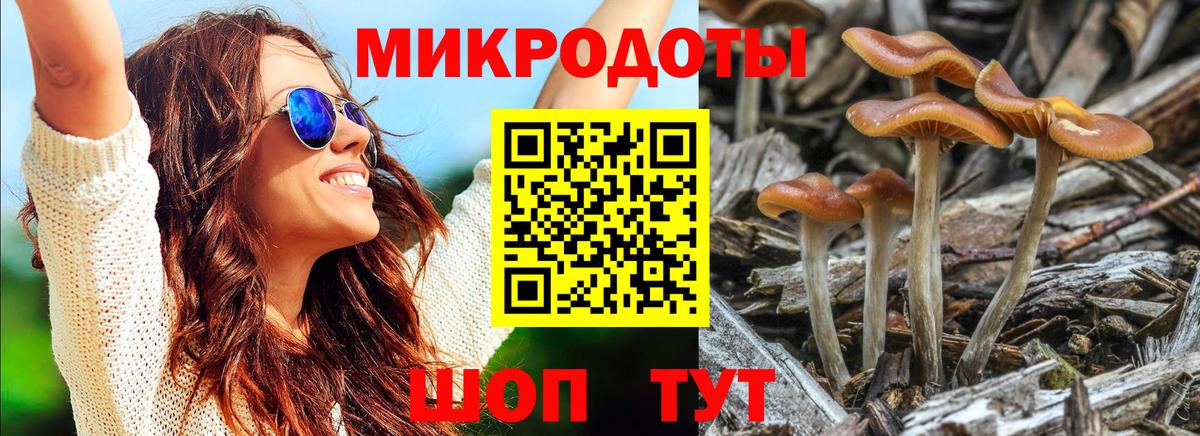 Псилоцибиновые грибы MAGIC MUSHROOMS  Галлюциногенные грибы мицелий  Батайск  Вход с VPN 