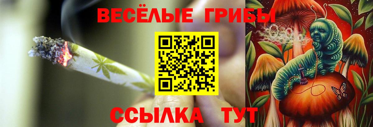 Псилоцибиновые грибы мицелий Батайск